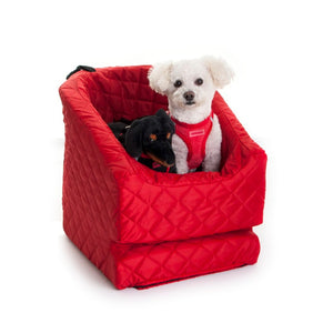 Dachshund and Bichon in red dog car seat