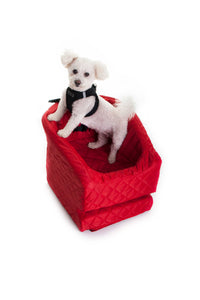 Bichon in Red Dog Car seat
