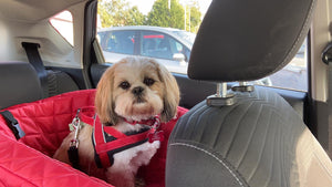 Capooch Luxury Red Quilted Dog Car Safety Seat